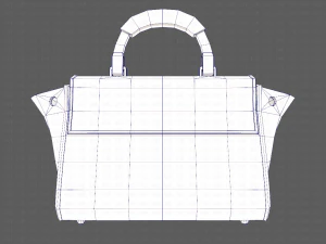 Bag V07 3D Model