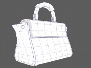 Bag V07 3D Model