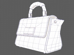 Bag V07 3D Model