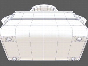 Bag V07 3D Model