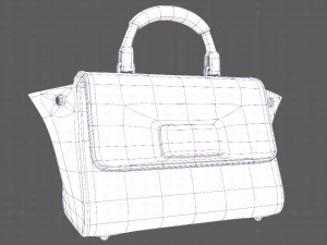 Bag V07 3D Model