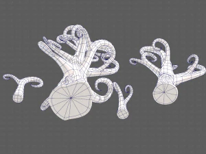 Trees Cartoon V12 3D Model