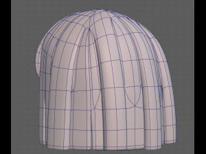 Base Hair for girl V01 3D Model