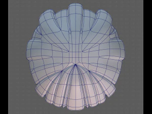 Base Hair for girl V01 3D Model
