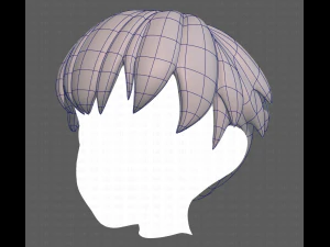 Base Hair for Boy V01 3D Model