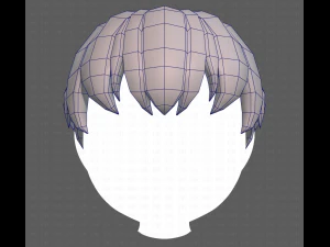 Base Hair for Boy V01 3D Model