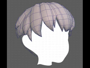 Base Hair for Boy V01 3D Model