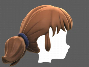 Base Hair for girl V05 3D Model