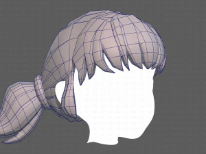 Base Hair for girl V05 3D Model