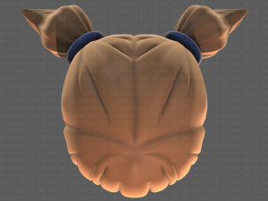 Base Hair for girl V05 3Dモデル