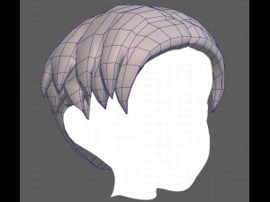 Base Hair for Boy V06 3D Model