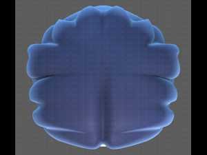 Base Hair for Boy V06 3Dモデル