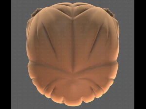 Base Hair for girl V09 3D Model
