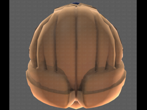 Base Hair for girl V10 Modelo 3D