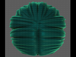 3D Hair style for boy V94 Model 3D