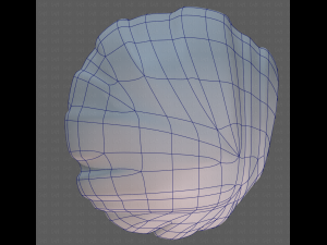 Base Hair for girl V11 3D Модель