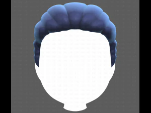 Base Hair for Boy V12 3D Model