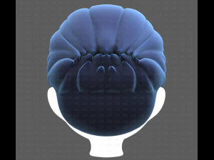 Base Hair for Boy V12 3D Model