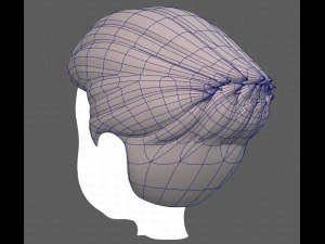 Base Hair for Boy V12 3D Model