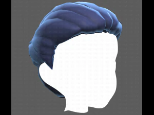 Base Hair for Boy V12 3D Model