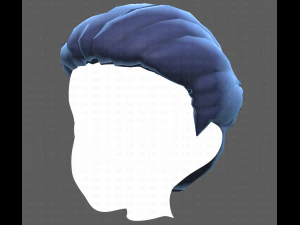 Base Hair for Boy V12 3D Model