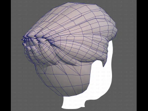 Base Hair for Boy V12 3D Model