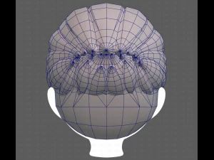 Base Hair for Boy V12 3D Model