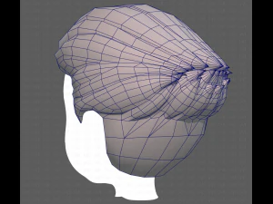 Base Hair for Boy V12 3D Model