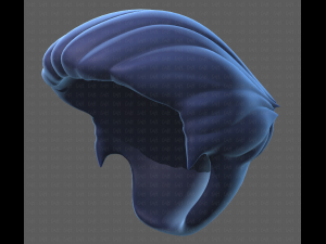Base Hair for Boy V12 3D मॉडल