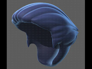 Base Hair for Boy V12 3D Model