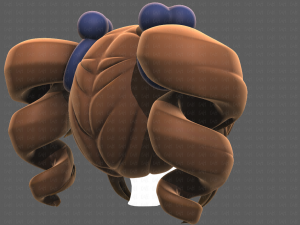 Base Hair for girl V13 3D Model