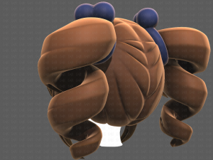 Base Hair for girl V13 3D Model
