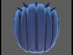 Base Hair for Boy V13 Model 3D