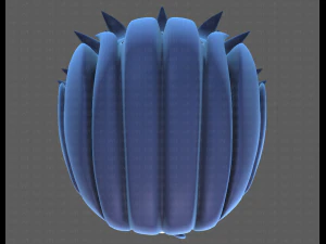 Base Hair for Boy V13 3D Model