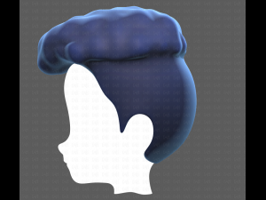 Base Hair for Boy V14 Modèle 3D