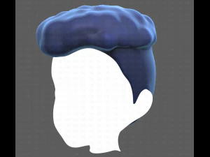 Base Hair for Boy V14 3D Model