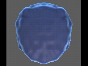Base Hair for Boy V14 3D Model