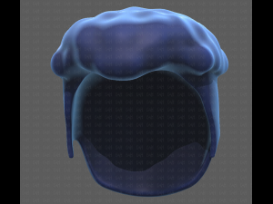 Base Hair for Boy V14 Modèle 3D