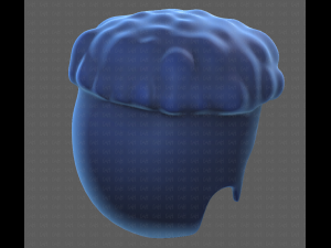 Base Hair for Boy V14 Modèle 3D