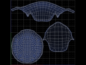 Base Hair for Boy V14 Modèle 3D