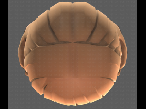 Base Hair for girl V15 3D 모델
