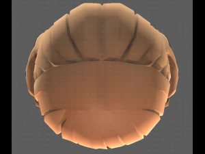 Base Hair for girl V15 3D Model