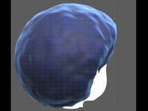 Base Hair for Boy V15 Model 3D