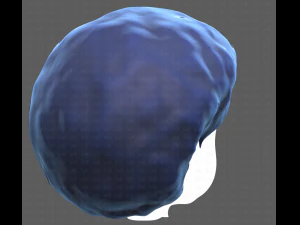 Base Hair for Boy V15 3D Model