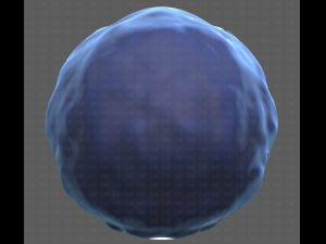 Base Hair for Boy V15 Model 3D