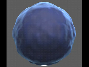 Base Hair for Boy V15 3D Model