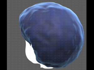 Base Hair for Boy V15 Model 3D