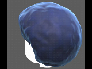 Base Hair for Boy V15 3D Model