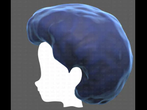 Base Hair for Boy V15 3D Model