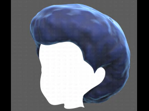 Base Hair for Boy V15 3D Model
